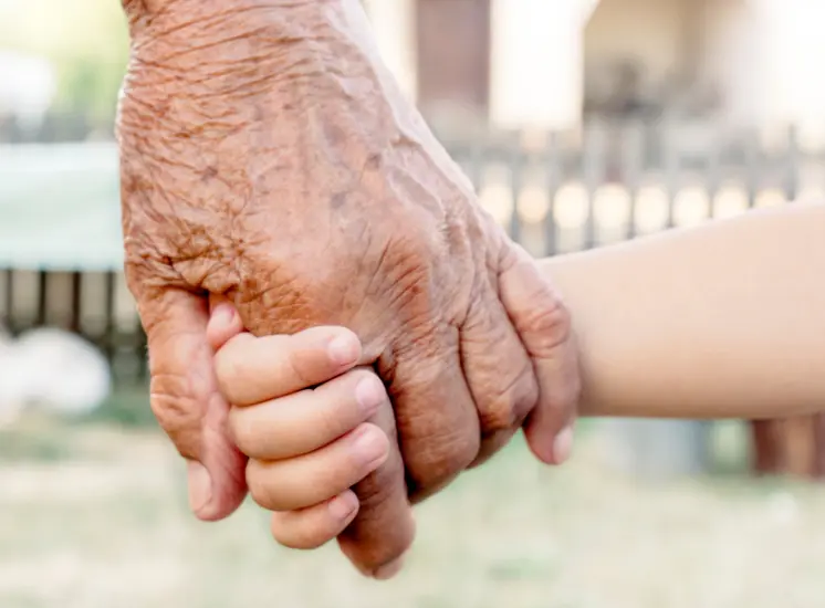 CARROUSEL PHOTO POUR PAGE DROIT PATRIMONIAL SITE BOUZONIE VALETTE (4)