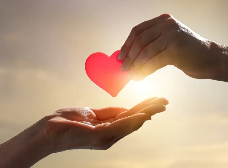 CARROUSEL PHOTO POUR PAGE DROIT PATRIMONIAL SITE BOUZONIE VALETTE